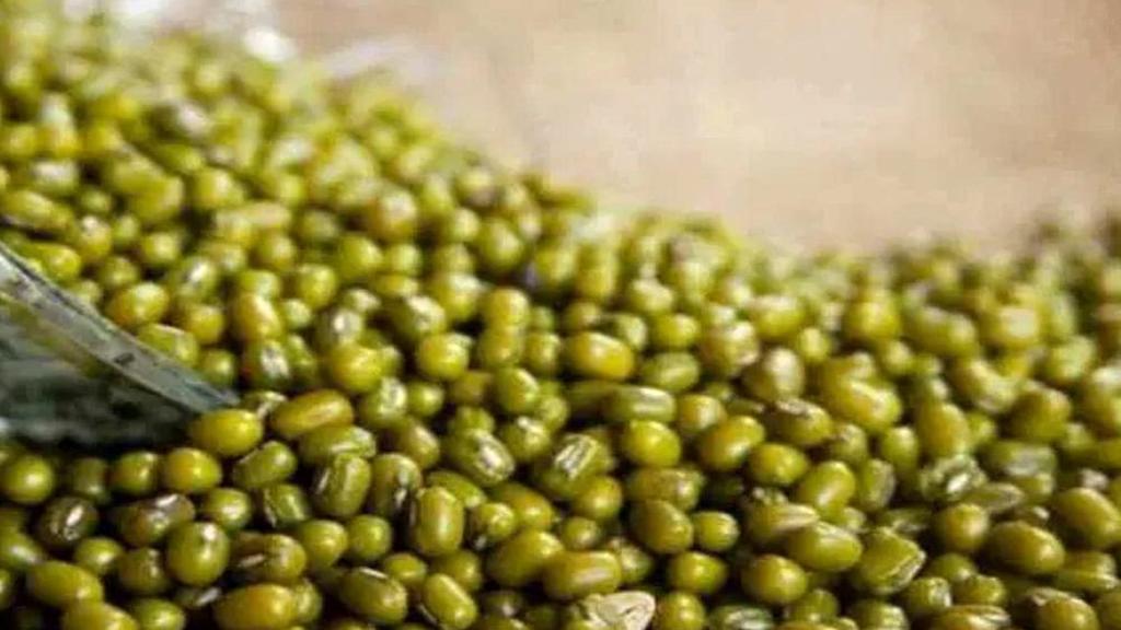 MP में आज से समर्थन मूल्य पर शुरू होगी मूंग और उड़द की खरीदी, 3.70 लाख किसानों ने कराया पंजीयन