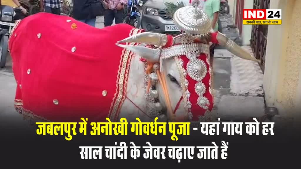 गोवर्धन पूजा: मप्र में यहां गाय को चढ़ाए जाते हैं चांदी के जेवर...