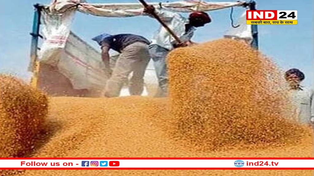 एमपी में गेहूं खरीदी में बड़ा अड़ंगा, बैंक खातों पर किसानों के लिए नया फरमान