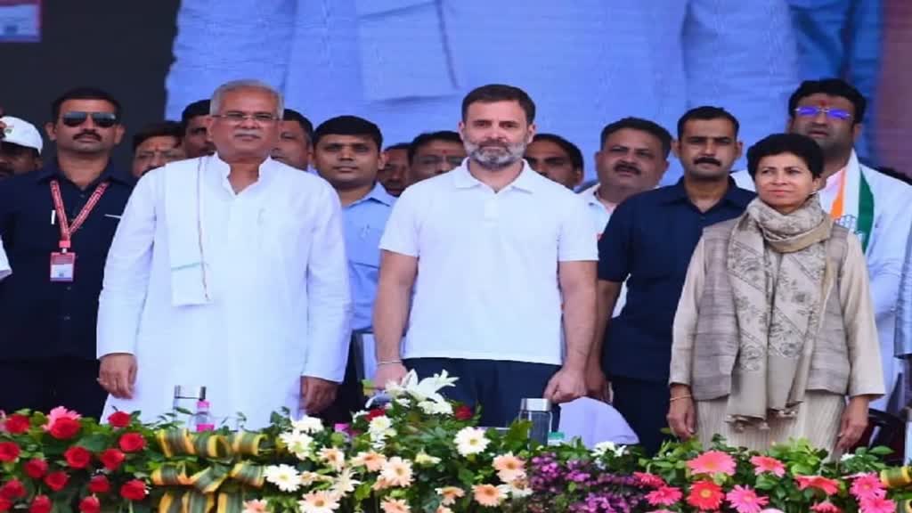 CG NEWS : छत्तीसगढ़ के सभी बच्चों को क्लास KG से लेकर PG तक सभी स्कूल और कॉलेजों में शिक्षा फ्री 