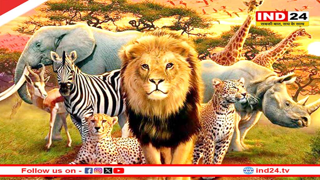 3 मार्च को क्यों मनाया जाता है विश्व वन्यजीव दिवस, जानें इससे जुड़ी बातें