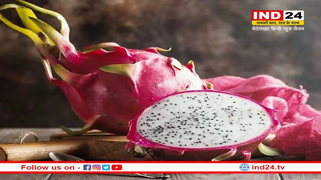 Dragon fruit for Diabetics: मधुमेह के मरीजों को ड्रैगन फ्रूट खाना चाहिए या नहीं ? जानें