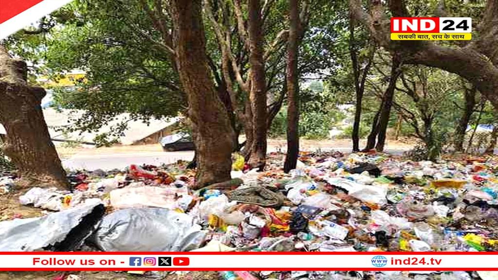 कूड़े के ढेर में तब्दील हुए लोहाघाट के खूबसूरत जंगल, बदबू से लोगों का जीना मुहाल