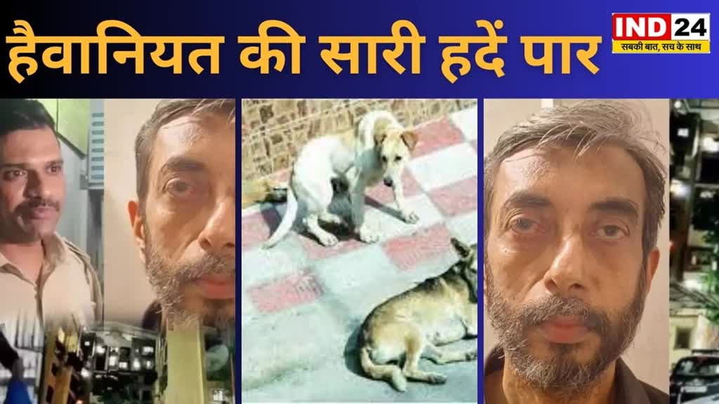 मुंबई में हैवानियत की सारी हदें पार, हत्या के बाद शव के किए टुकड़े, फिर मिक्सी में पिसकर कुकर में उबाला और कुत्तों को खिलाया  