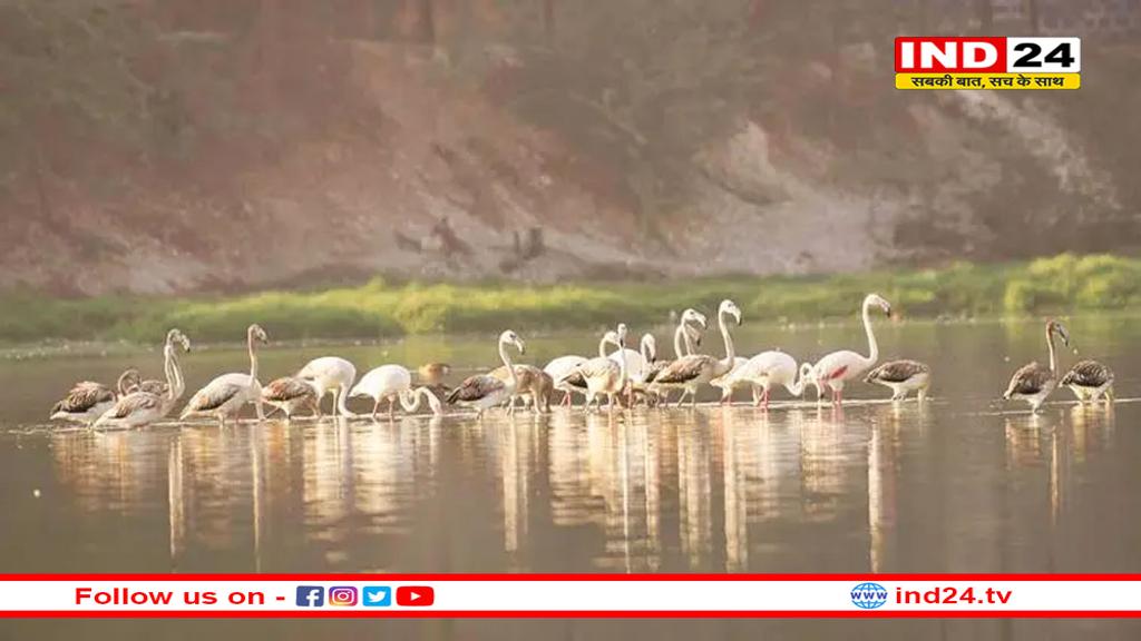 मध्य प्रदेश में वेटलैडंस: एक सारगर्भित विश्लेषण