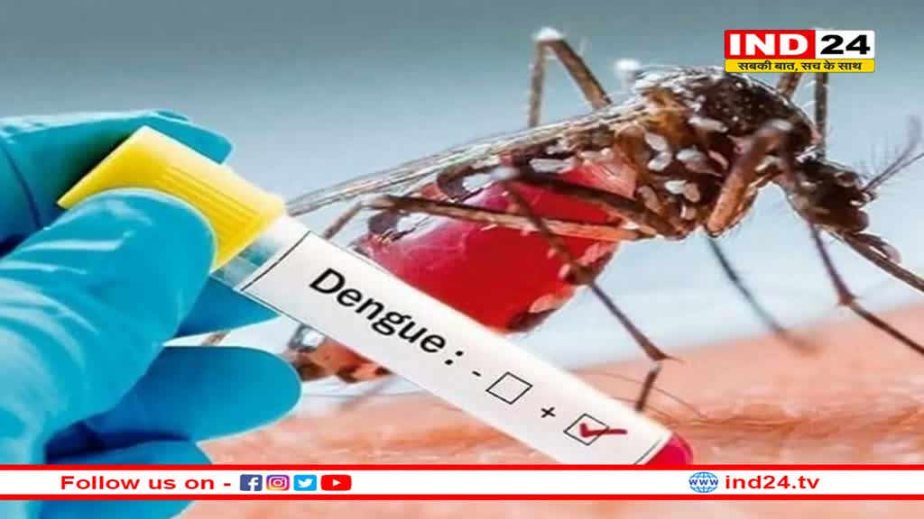 एमपी में डराने लगा डेंगू