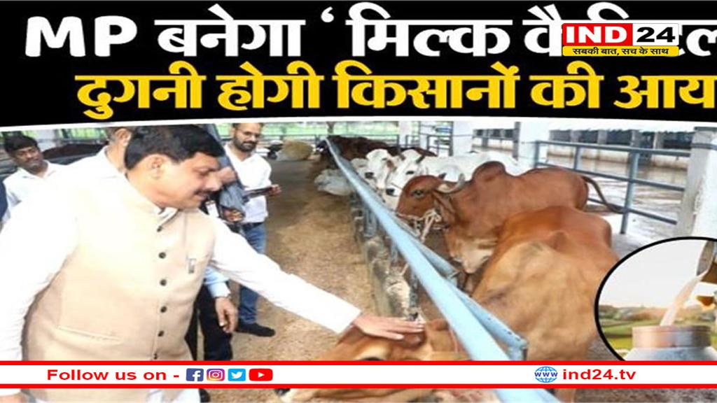 हर घर गोकुल का सपना! 2028 तक दुग्ध उत्पादन में उछाल, MP बनेगा देश का 'मिल्क हब'