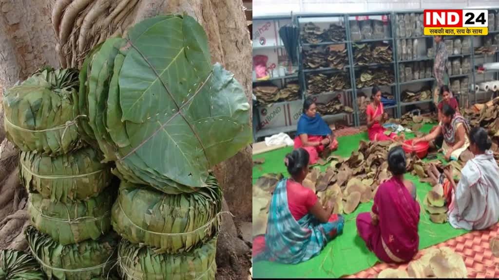  CG NEWS: दोना-पत्तल बनाकर अपनी माली हालत में सुधार कर रही महिलाएं