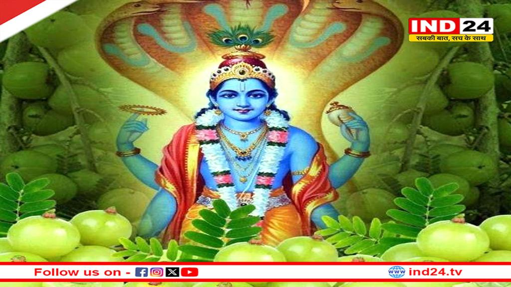 इस एकादशी पर होगी आंवले के वृक्ष की पूजा, जानें महत्व