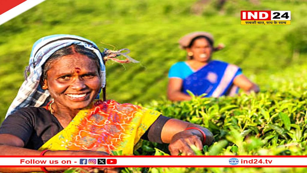 भारत- ब्रिटेन CETA : भारतीय किसानों की वैश्विक बाजार तक पहुंच, ग्रामीण विकास को मिलेगा बढ़ावा