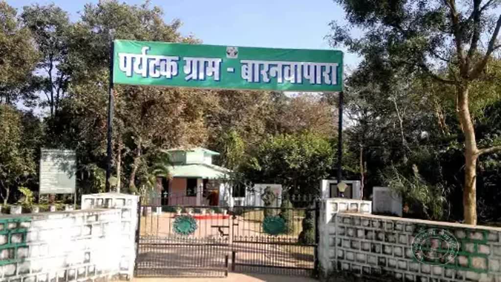 CG NEWS : बारनवापारा अभ्यारण्य जंगल सफारी के अधीन, राज्य सरकार ने किया आदेश  जारी