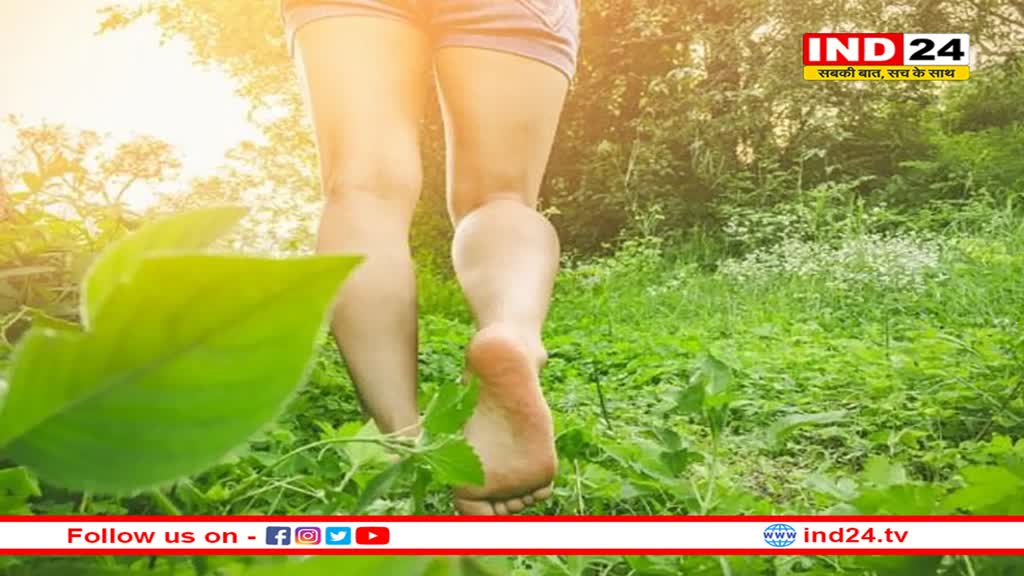नंगे पैर हरी घास पर टहलने के फायदे, दिमाग होगा सुपर-एक्टिव और लिवर-किडनी भी रहेगी स्वस्थ