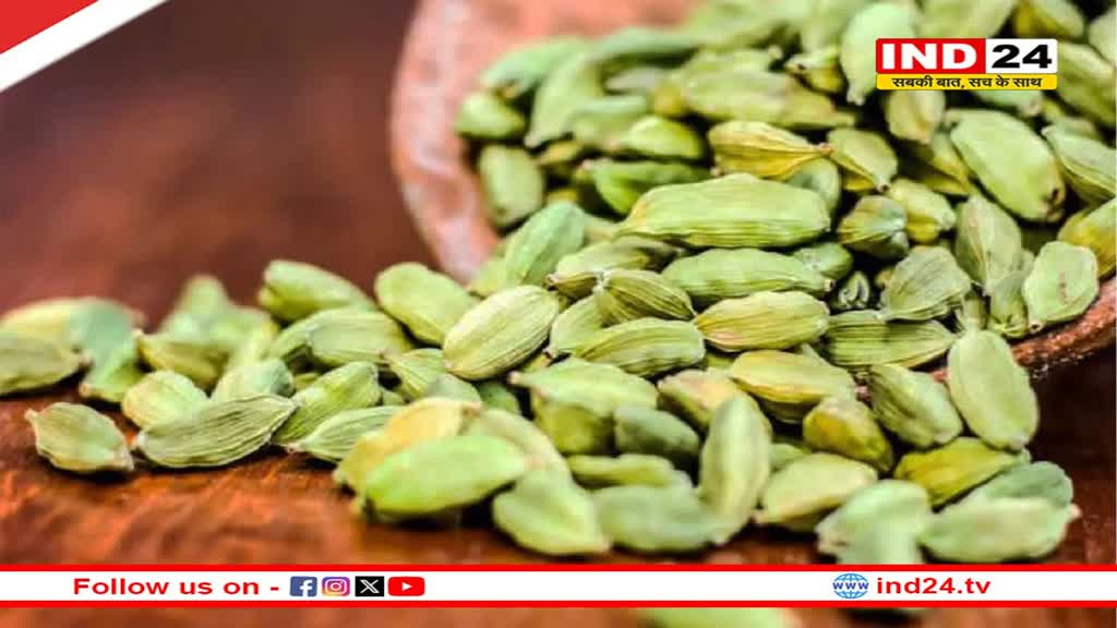  Health Tips: इलायची ही नहीं इसके छिलके भी हैं बेहद गुणकारी, औषधीय गुणों से हैं भरपूर 
