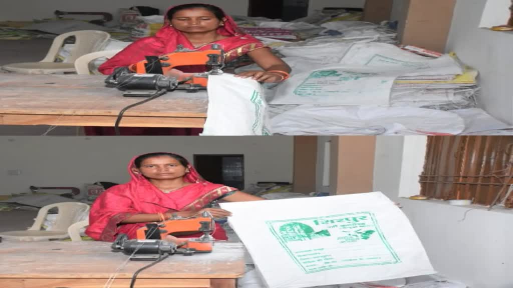 CG News : वर्मी कम्पोस्ट बैग बना आय का जरिया, गौठानों में किए विक्रय...