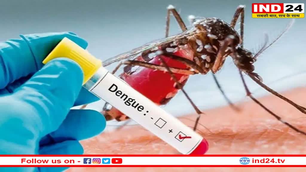 Delhi Dengue Cases: दिल्ली में एमसीडी 5 महीने तक चलाएगा डेंगू, मलेरिया और चिकनगुनिया रोकथाम अभियान