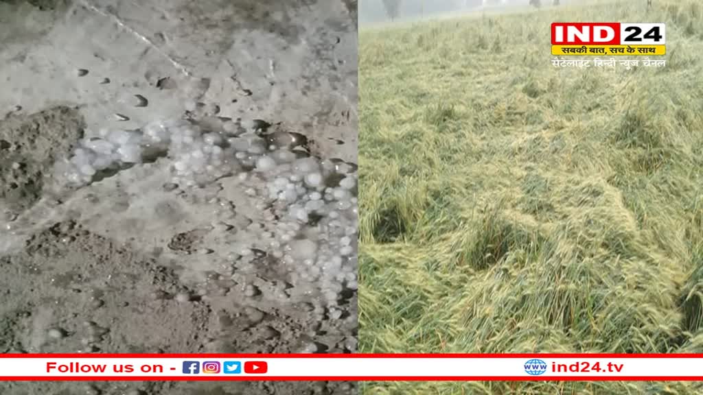 Hail storm in Mandsaur: एमपी के मंदसौर में तेज बारिश के साथ गिरे ओले, किसानों की फसल को हुआ नुकसान