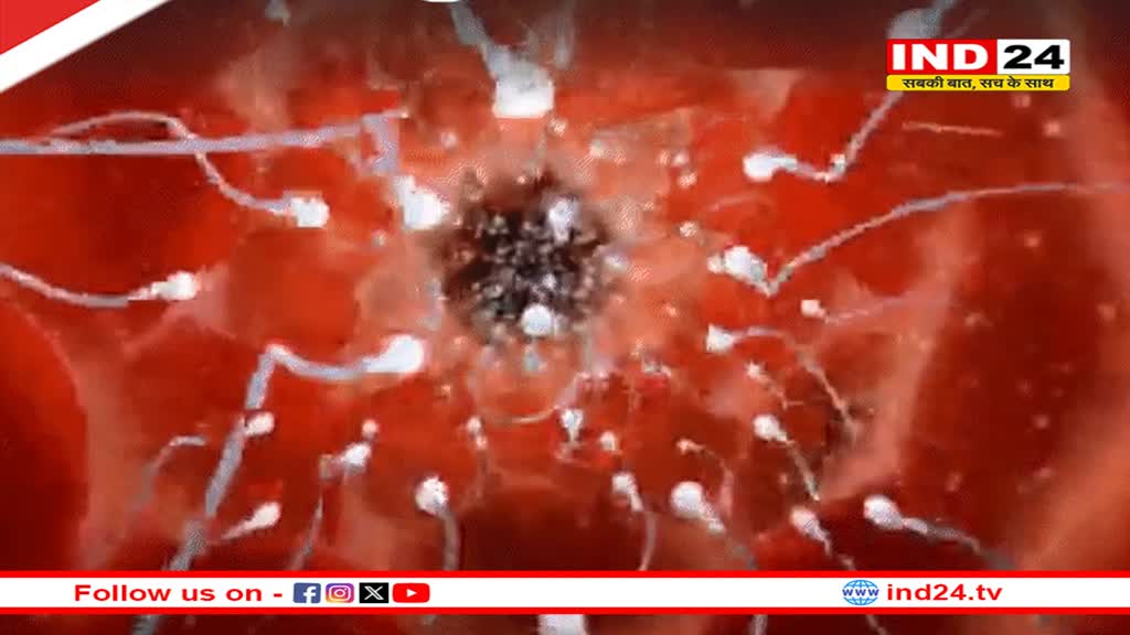 क्या होता है सुपरफेटेशन, जिसमें एक साथ दो अलग प्रेग्नेंसी हो जाती हैं ?