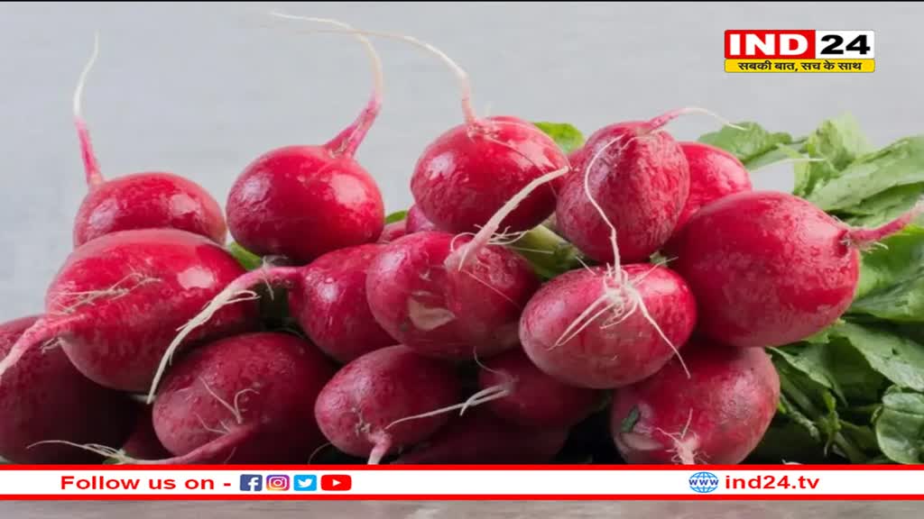 शलजम में पाया जाता है ये सबसे जरूरी विटामिन, इन बीमारियों में की जाती है इस्तेमाल