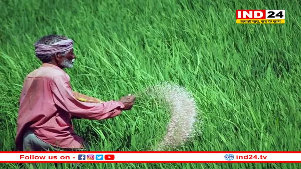 बजट में किसानों और कृषि सेक्टर को मिल सकती है बड़ी सौगात, इकोनॉमी सर्वे से मिले ये अहम संकेत 