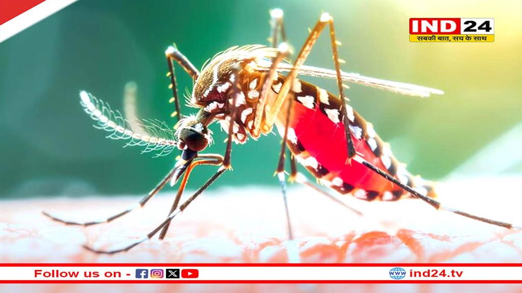 आज मनाया जा रहा है विश्व मलेरिया दिवस, ये अच्छी आदतें रखेंगी आपको सेफ