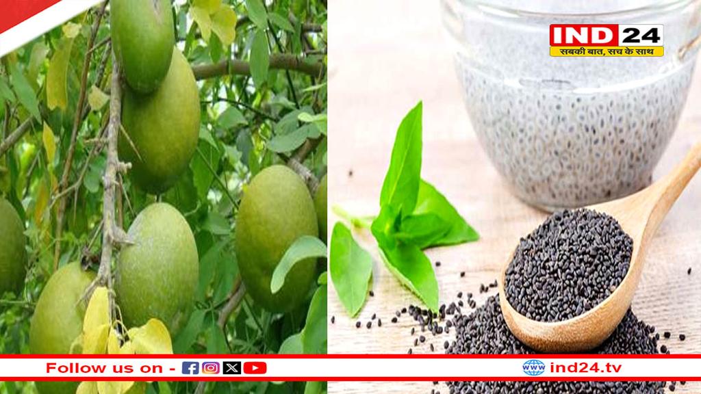 गर्मी के प्रभाव से करना चाहते हैं अपना बचाव, तो जरूर करें इन 10 चीजों का सेवन 