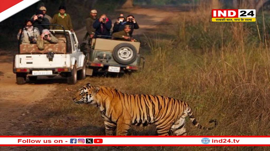 सुप्रीम कोर्ट के आदेश के बाद प्रदेश के सभी टाइगर रिजर्व में नाइट सफारी पर रोक