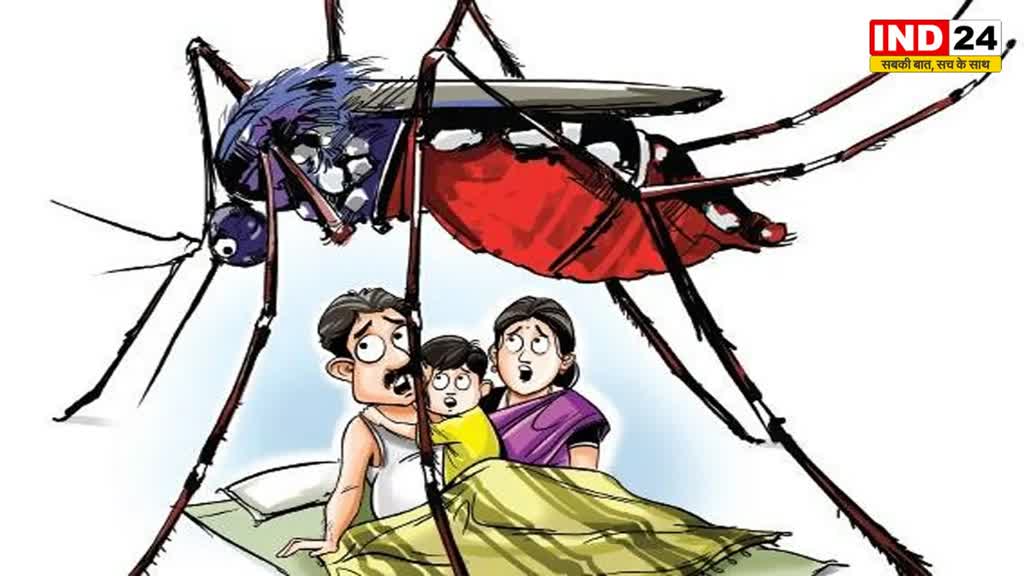 डेंगू के डंक का कहर, भोपाल में 117 तक पहुंची मरीजों की संख्‍या...