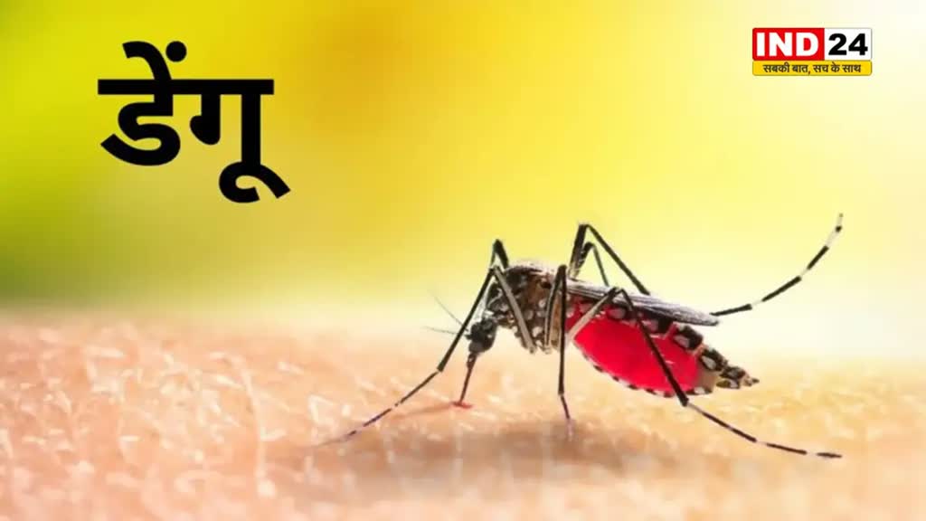 ग्वालियर में डेंगू और चिकनगुनिया का कहर, बीते 24 घंटे में मिले इतने मरीज 