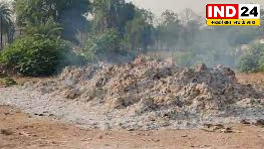 CG News : नक्सलियों ने तेंदूपत्ता फड़ में लगाई आग , 50 बोरा तेंदूपत्ता जलकर खाक.... 