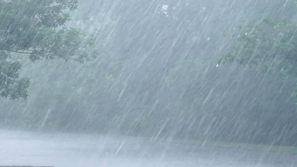 MP Weather: प्रदेश में तीन सिस्टम एक्टिव, इन 20 जिलों में बारिश और ओलावृष्टि का अलर्ट