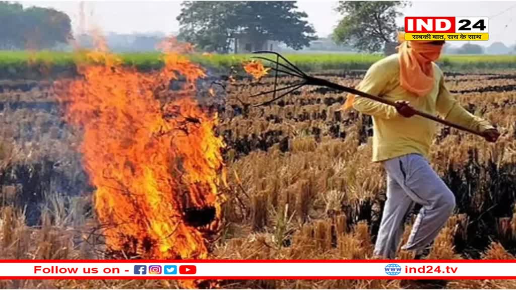 पराली जलाने पर अब दोगुना भरना होगा जुर्माना