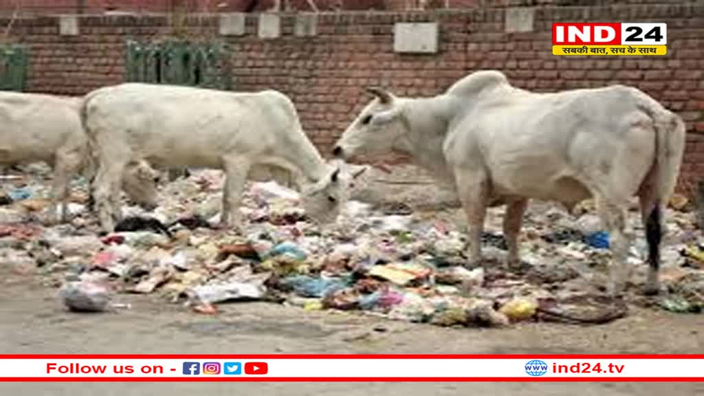 खंडवा में चल रहे सगाई समारोह की दावत से जब्त हुआ प्रतिबंधित मांस, दुल्हन पर मामला दर्ज