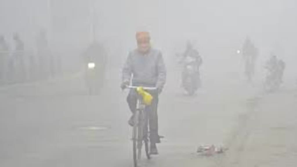 कोहरे की चादर में लिपटा मध्यप्रदेश, बारिश से होगा नए साल का आगाज