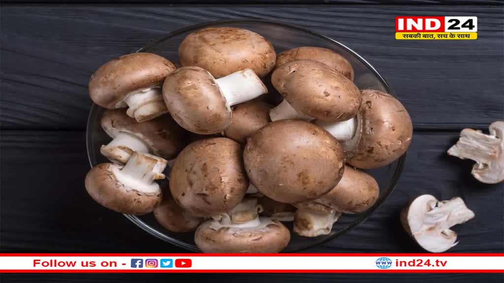 Mushroom Benefits: मशरूम खाने के हैं गज़ब फायदे, कई गंभीर रोग हो सकते हैं दूर 