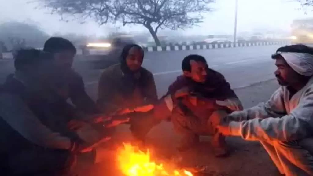 cold wave alert: मध्यप्रदेश में ठंड का प्रकोप जारी, 7 जिलों में शीतलहर का अलर्ट