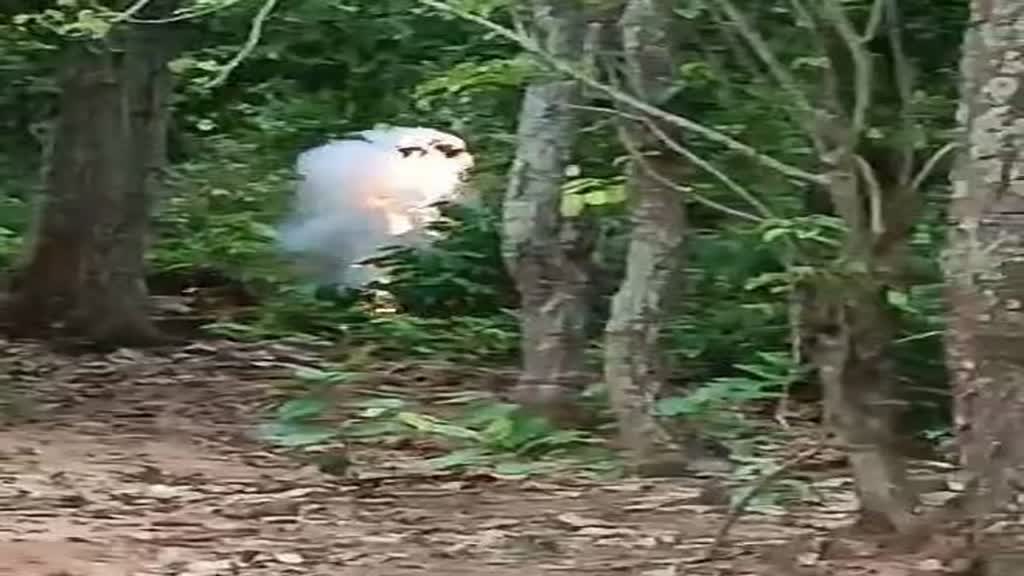 CG News :   सुरक्षाबलों को मिली बड़ी कामयाबी, 5 किलो का आईईडी बम बरामद कर जवानों ने किया नष्ट