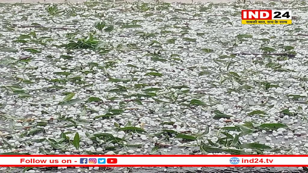 एमपी के बुंदेलखंड में भारी ओलावृष्टि, किसानों पर टूटा कुदरत का कहर