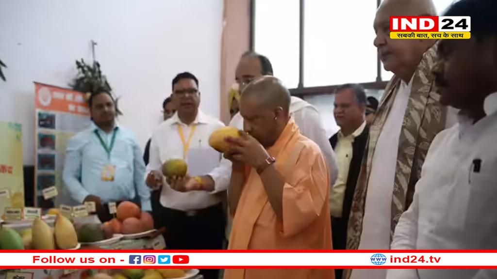 UP में आम महोत्सव का आगाज, 800 किस्मों का कर सकते हैं दीदार