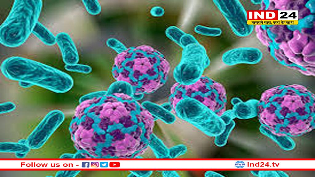 अमेरिका :पहली बार इन्सान में मिला कैंप हिल वायरस, निपाह जैसा खतरनाक