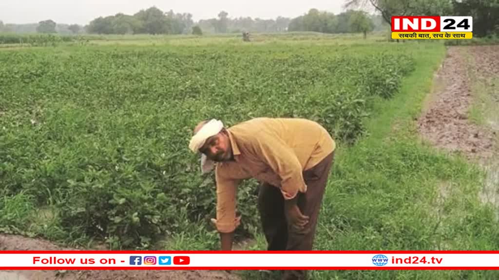 फसल बीमा योजना की तारीख आगे बढ़ी 