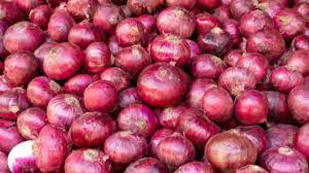  इस साल नहीं रूला पाएगी प्याज की कीमतें, सरकार ने बनाया मास्टर प्लान
