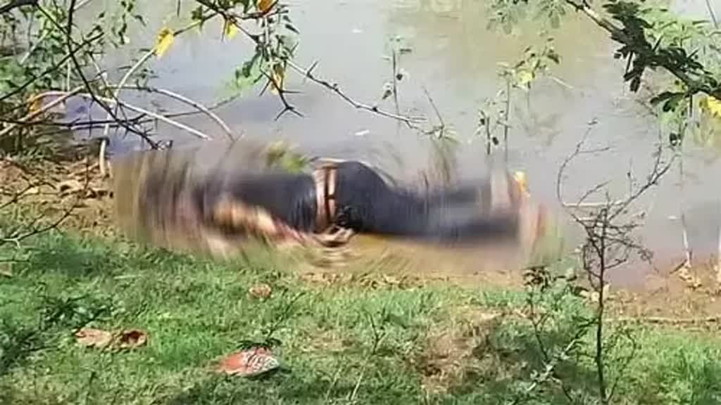 CG News :  मुक्तिधाम  में अज्ञात शव मिलने से फैली सनसनी , हत्या आत्महत्या या हादसा जांच में जुटी पुलिस.....