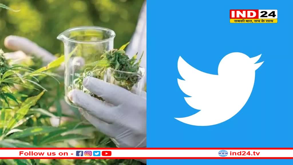 Twitter: कैनबिस विज्ञापन दिखाने वाला पहला सोशल मीडिया प्लेटफॉर्म बना ट्वीटर, अब दिखाएगा भांग के एड