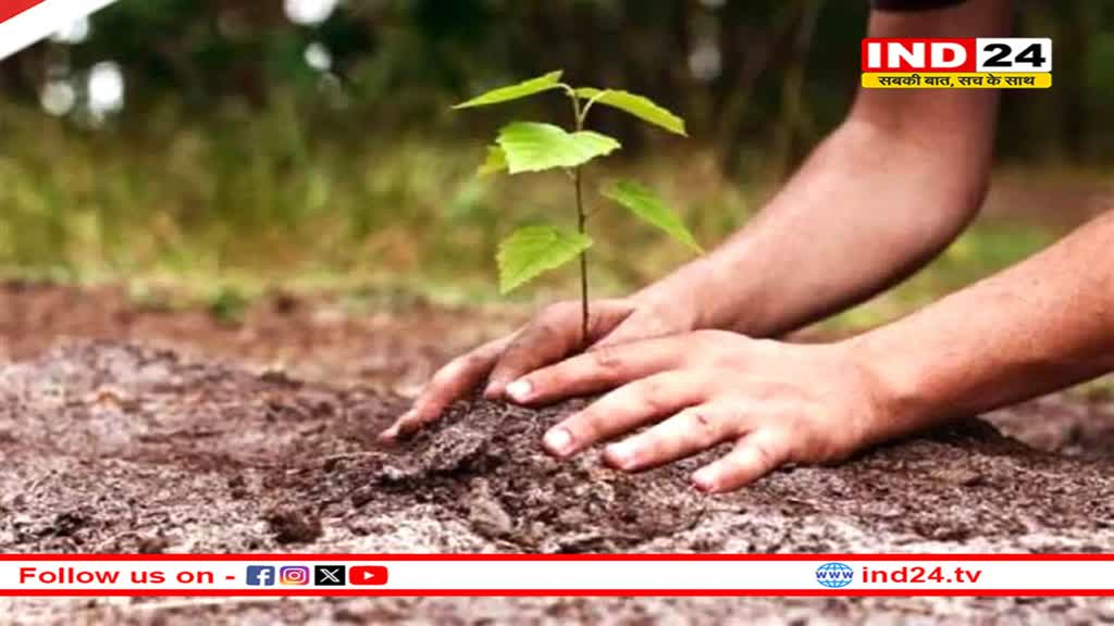 11 जुलाई को होगा राज्य स्तरीय वन महोत्सव, ‘एक पेड़ मां के नाम’ महाअभियान अंतर्गत 70 लाख पौधों का होगा रोपण