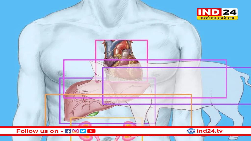 सुअर की किडनी लगाकर 130 दिन तक जिंदा रही अमेरिकन महिला