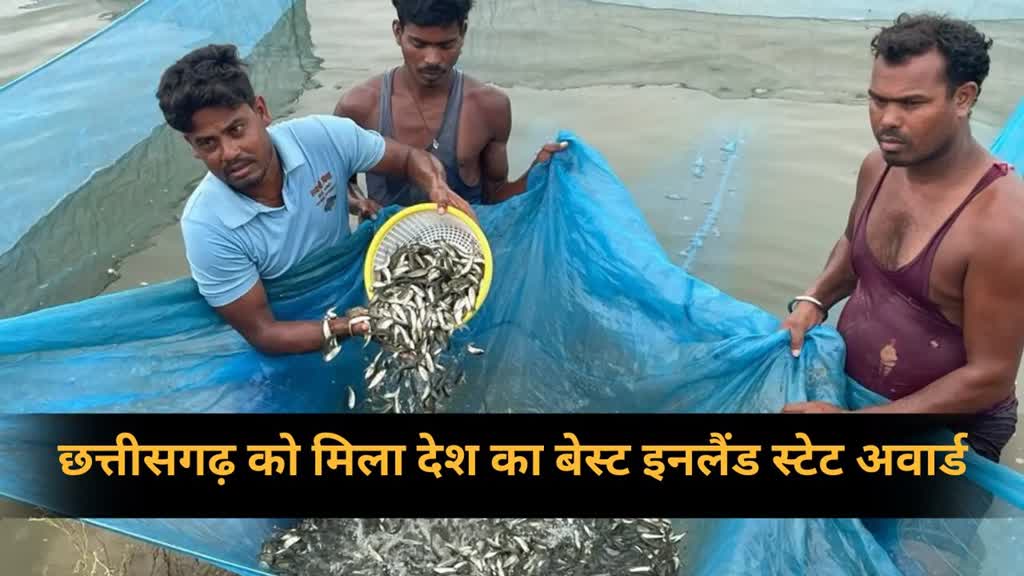CG NEWS : छत्तीसगढ़ को मिला देश का बेस्ट इनलैंड स्टेट अवार्ड, केज कल्चर से बढ़ रहा मत्स्य उत्पादन