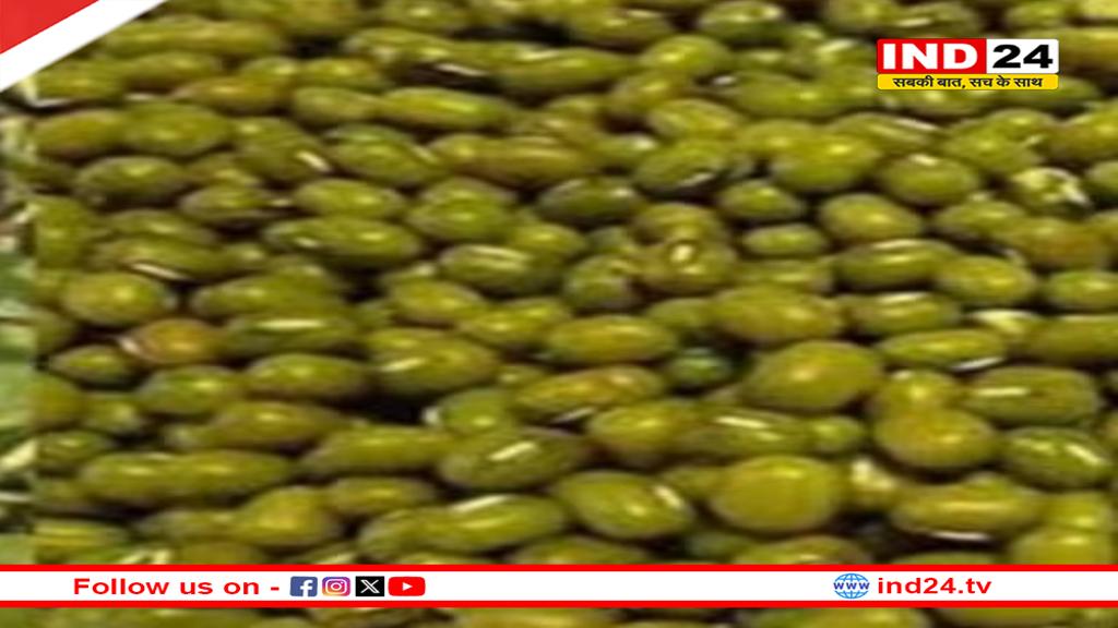 19 जून से 6 जुलाई तक होगा मूंग और उड़द उपार्जन के लिए पंजीयन