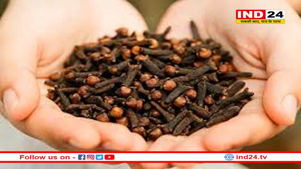 सर्दियों में खा ली जाये एक लौंग तो कई बीमारियों रहेगी दूर