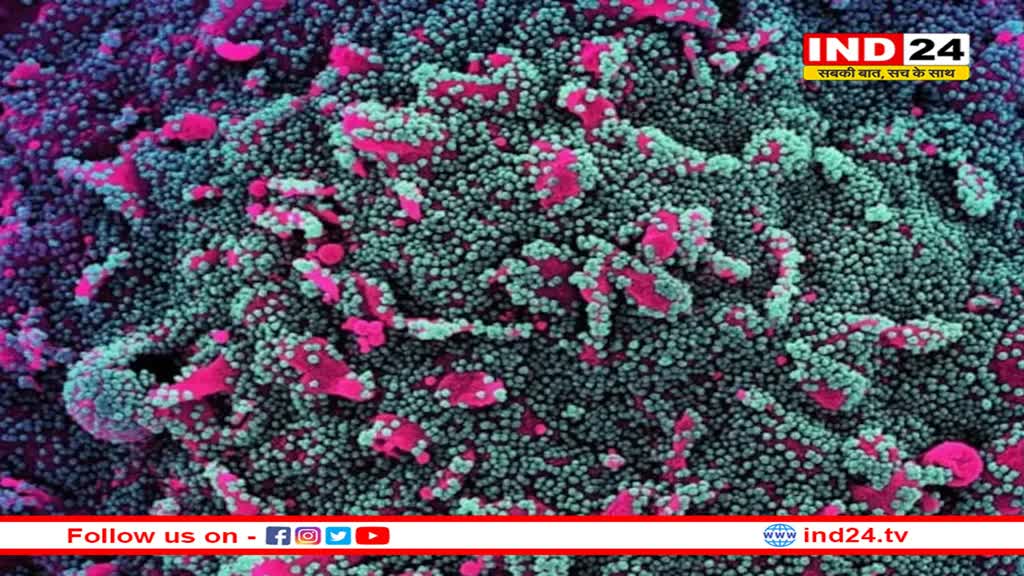 कोरोना ने फिर पकड़ी रफ्तार, 5 मौतों से हड़कंप