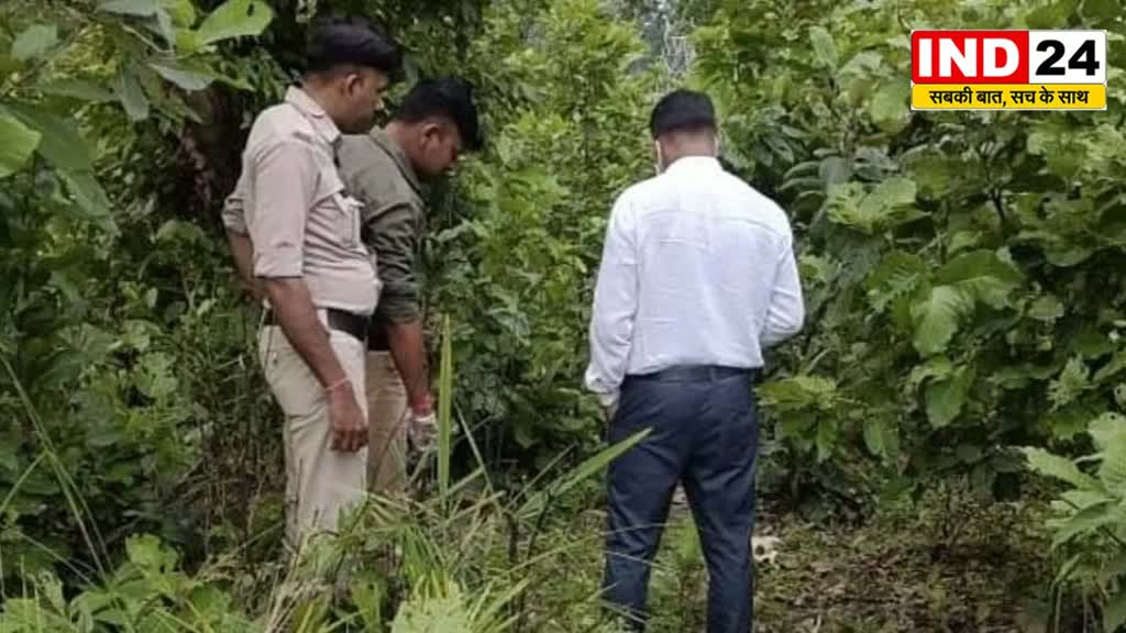 CG NEWS :  जंगल में नर कंकाल मिलने से मचा हड़कंप, जांच में जुटी पुलिस....